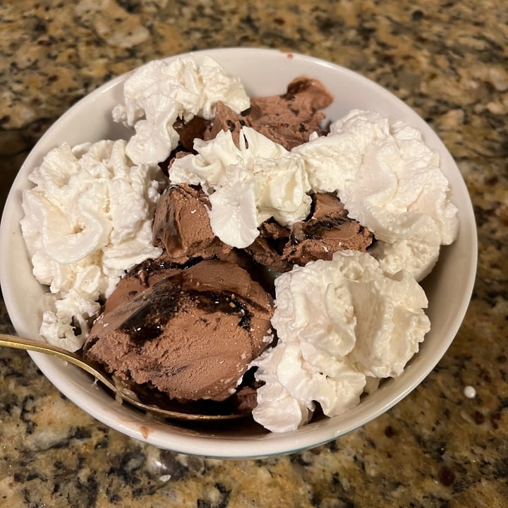 photo of Daiya Triple Fudge Chunk Ice Cream Tub shared by @elenaguijarro on  26 Dec 2021 - review