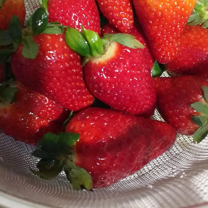 photo of Candonga Fragole shared by @adeco on  27 Mar 2022 - review