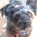 otta @otta profile image
