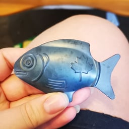 Lucky iron fish