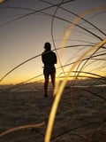 annetteannette @annetteannette profile image