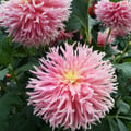 happycri86 @happycri86 profile image