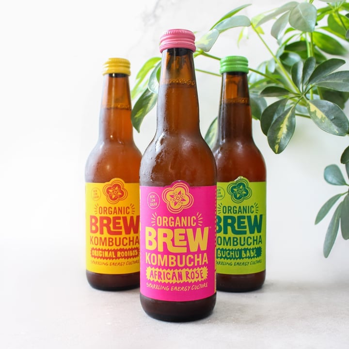 photo of Brew Kombucha Organic kombucha shared by @thegreenveganchick on  04 Dec 2020 - review