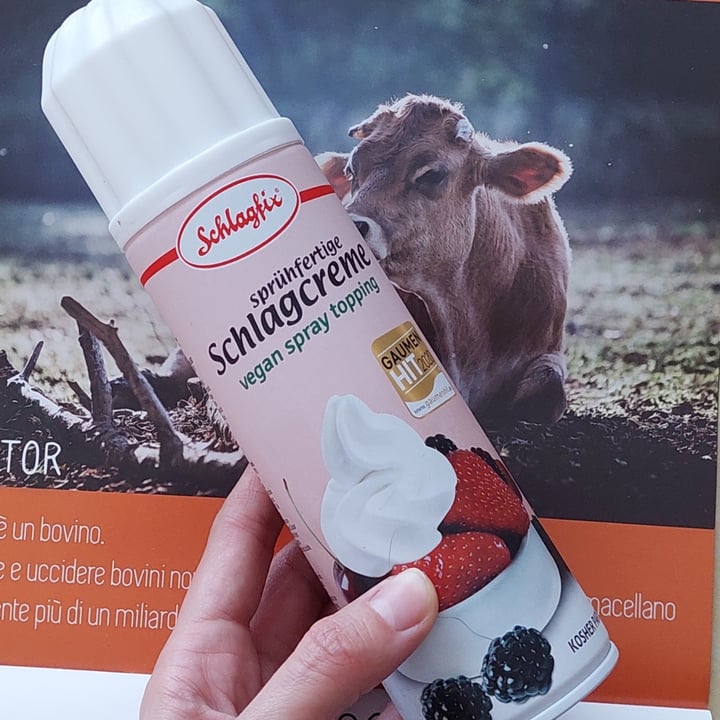 photo of Schlagfix Sprühfertige Schlagcreme shared by @galatea on  27 Nov 2021 - review