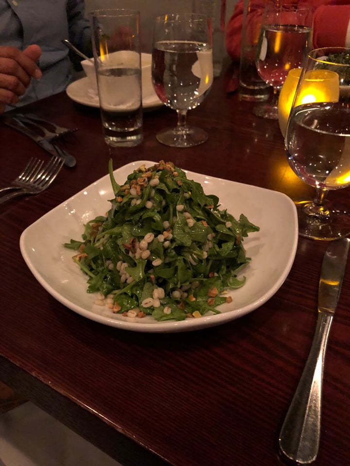 photo of Blossom Arugula Salad shared by @drethanthevegan on  08 Nov 2018 - review