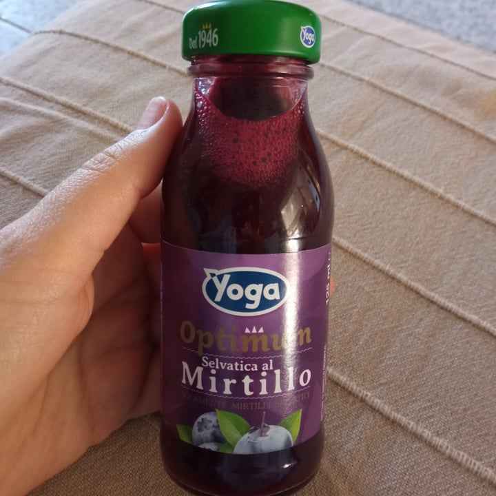 photo of Yoga Optimum mirtillo shared by @giusi4 on  23 Mar 2022 - review