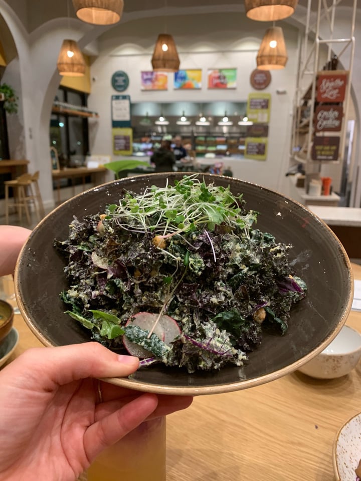 photo of Life Alive Organic Cafe Living Caesar shared by @aestheticallyadventurous on  03 Apr 2019 - review