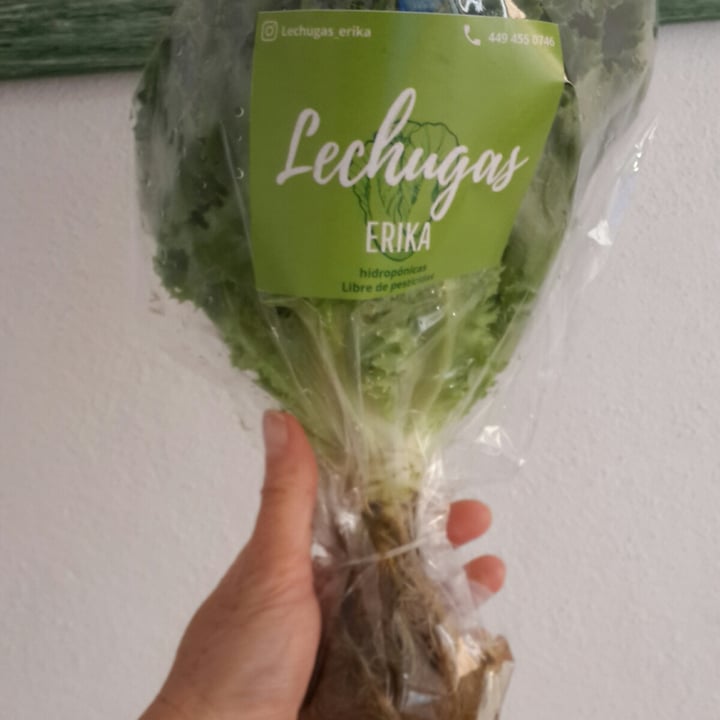 review photo of Lechugas Erika Lechugas Erika shared by @chumis2020 on 18 Apr 2021 - review