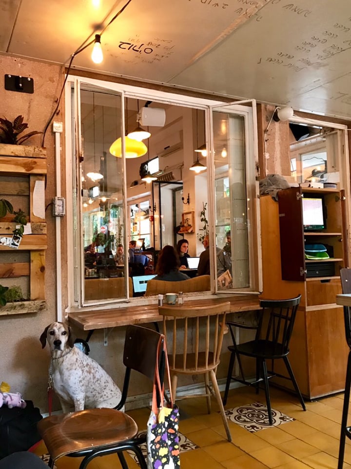 photo of Bucke Cafe Vegan Shakshuka shared by @stacey on  18 May 2019 - review