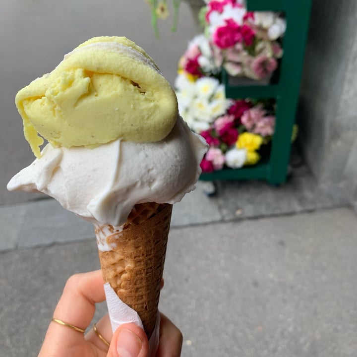 photo of Il Gelato Amico Cono shared by @elila on  05 Oct 2022 - review