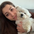 carola9 @carola9 profile image
