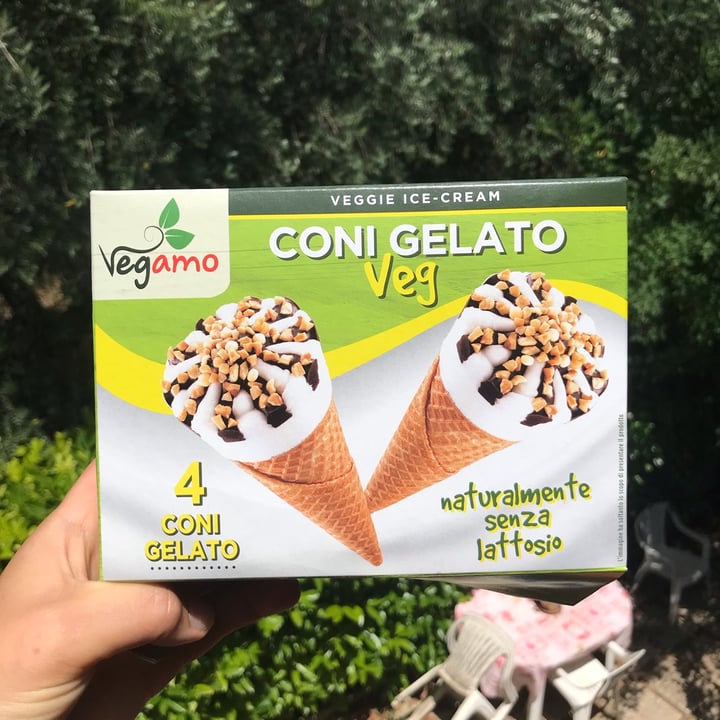 photo of Vegamo Coni Gelato shared by @vegvale93 on  30 Aug 2022 - review