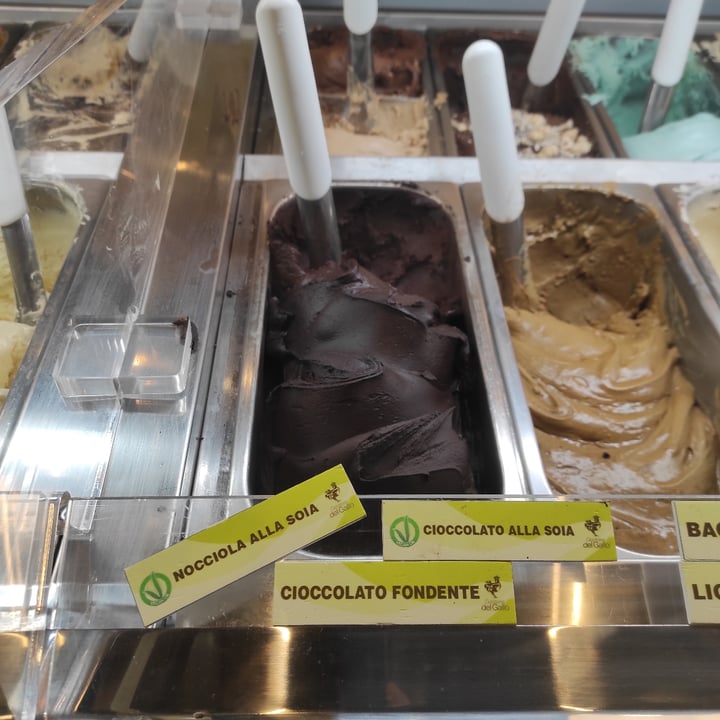 photo of Gelateria Del Gallo Gelato Nocciola E Cioccolato shared by @francescaf on  07 Jul 2022 - review