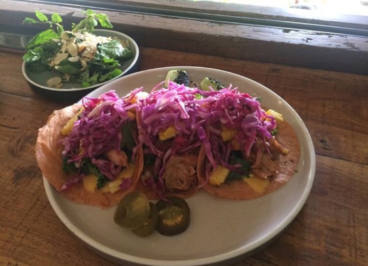 photo of The Shady Shack Jack Fruit Tacos shared by @samanthasmith on  24 Oct 2019 - review