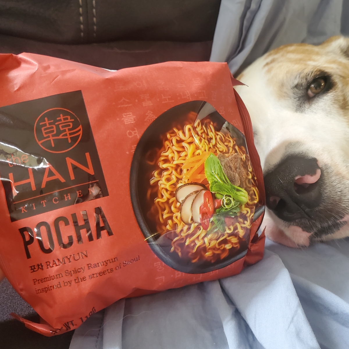 the Han Kitchen Pocha Ramyun Reviews abillion