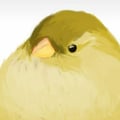 sabrino @sabrino profile image