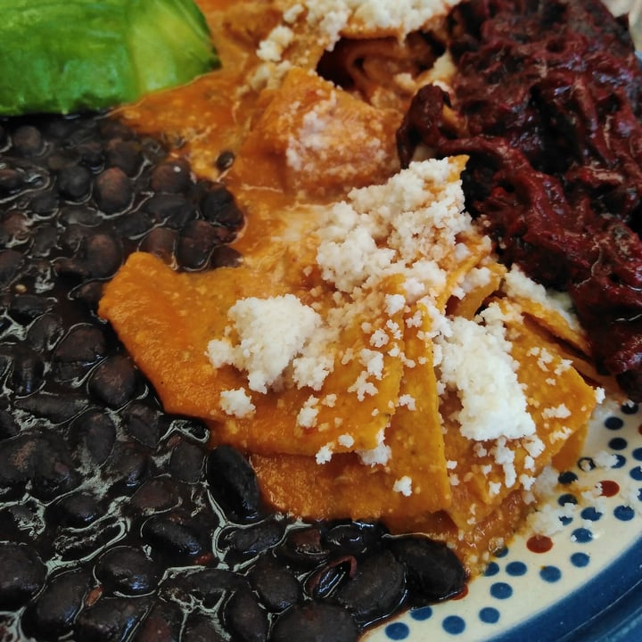 photo of Frida Chilaquiles Chilaquiles Veganos shared by @selrmoon on  12 Mar 2022 - review