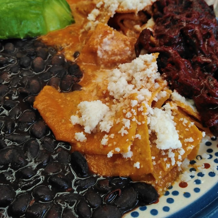 review photo of Frida Chilaquiles Chilaquiles Veganos shared by @selrmoon on 12 Mar 2022 - review