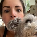 carlaconcvivi @carlaconcvivi profile image