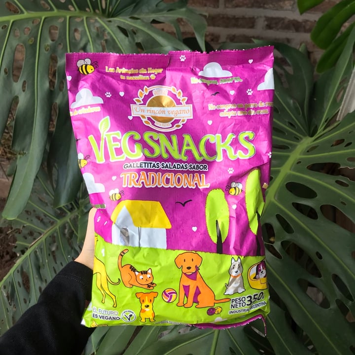 photo of Un Rincón Vegano Vegsnacks Galletas Saladas sabor Tradicional shared by @russomai on  18 Apr 2021 - review