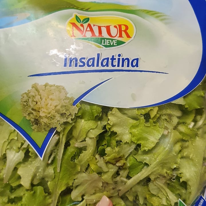 review photo of Natur Lieve Insalatina shared by @giulia199 on 31 Mar 2022 - review