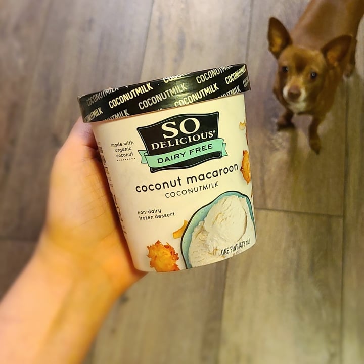 photo of So Delicious Dairy Free Coconut Macaroon Ice cream shared by @agreene428 on  12 Mar 2021 - review