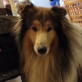disordjne @disordjne profile image
