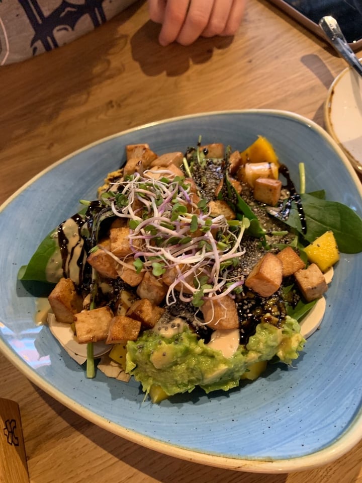 photo of Isegrim Cafe Buddha Bowl shared by @t-anderson on  09 Feb 2020 - review