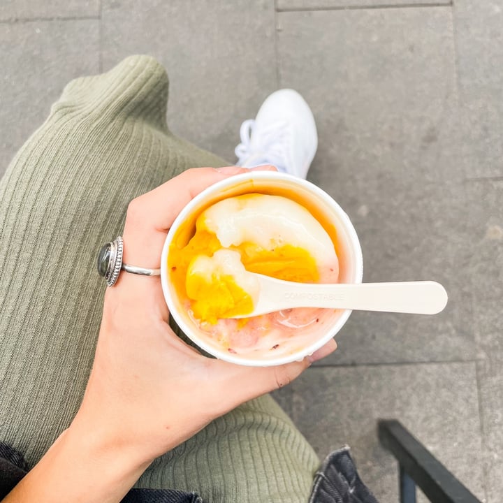 review photo of Gelato San Lorenzo Gelato Vegano shared by @misosoup on 01 Oct 2022 - review