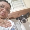 @adrianagmg profile image