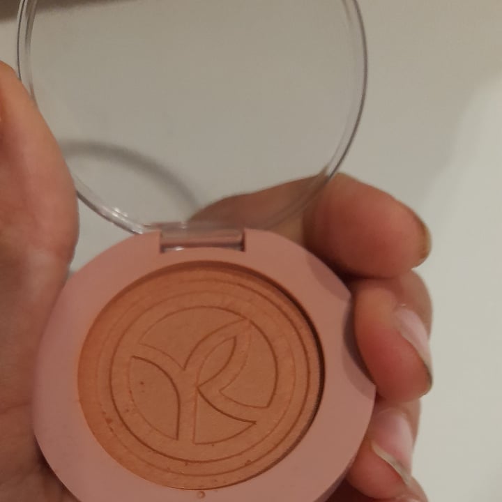review photo of Yves rocher Blush 10. Acajou shared by @queenzel on 19 Jun 2022 - review
