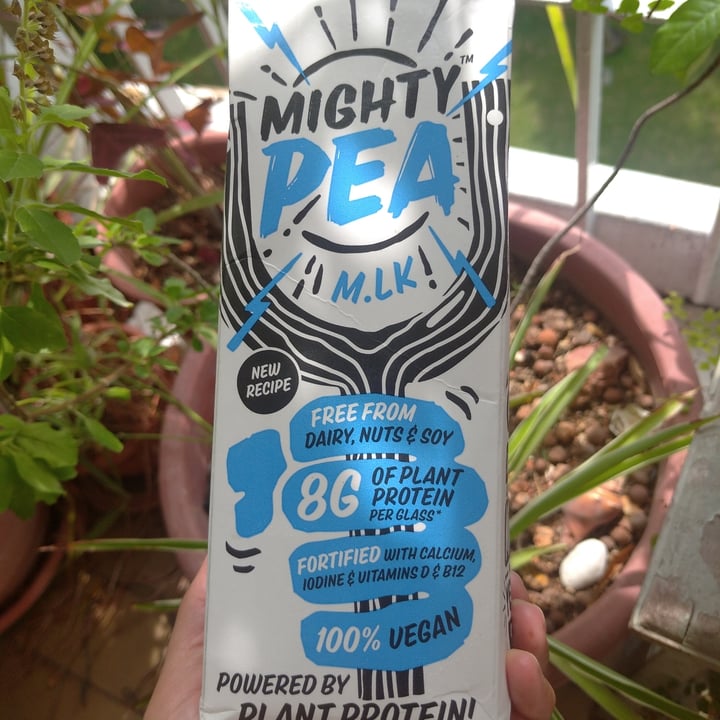 photo of Mighty Pea Mighty Pea M.lk shared by @kismetcandle on  07 Dec 2021 - review
