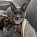 ethel78 @ethel78 profile image