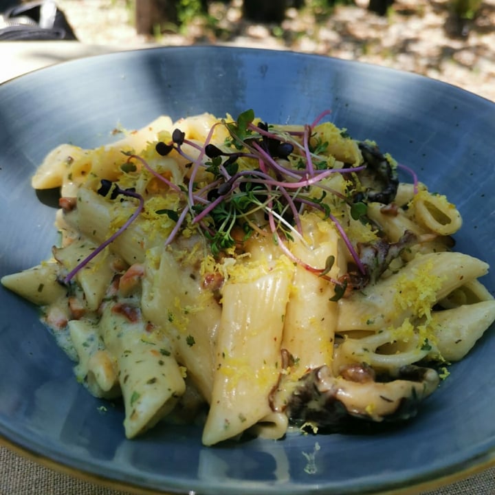 review photo of Urban Roots Café Zesty Vegan Alfredo shared by @liz269 on 08 Nov 2021 - review