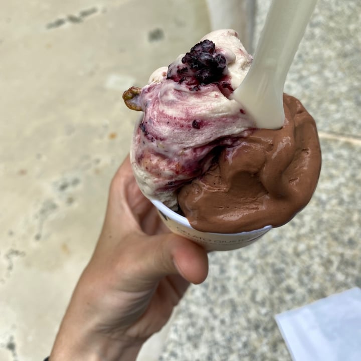 photo of Gelato Giusto coppetta shared by @quandleloup on  15 Jul 2021 - review