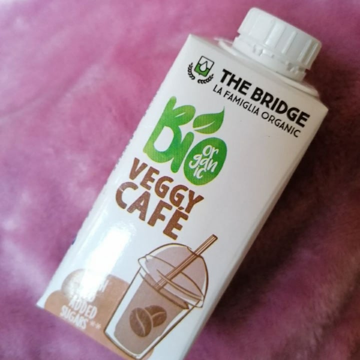 photo of The Bridge Bio veggy caffè shared by @lalaravegana on  26 May 2022 - review