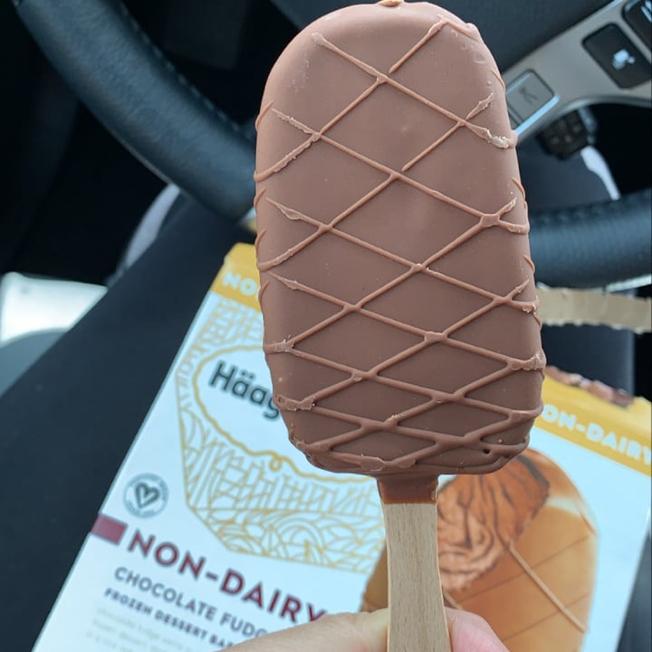 photo of Häagen-Dazs Chocolate Fudge Bars shared by @sandyna on  27 Jul 2021 - review