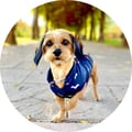 gororiddle @gororiddle profile image