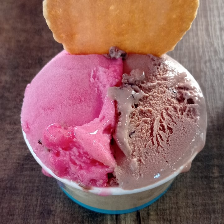 photo of Lillo Picó Sorbete de sandía y helado de soja y chocolate shared by @moniqueta on  20 Aug 2022 - review