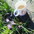 greenfingers @greenfingers profile image
