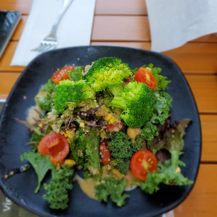 photo of Jinya Ramen Bar Baby leaf salad shared by @annzers on  09 Nov 2020 - review