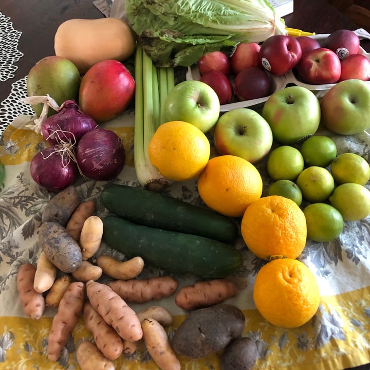 review photo of Misfits Market Mix Box shared by @norabea on 06 Jul 2020 - review