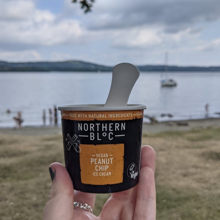photo of Joey's Cafe Northern Bloc vegan Peanut Chip Ice Cream shared by @gabbi95 on  30 Jul 2021 - review
