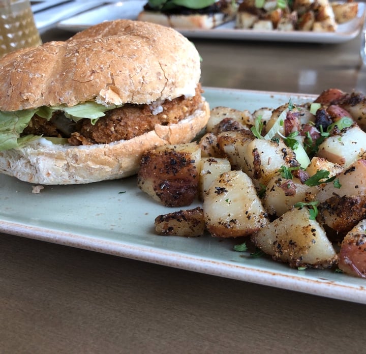 review photo of The Moth Cafe (Not) Chicken Burger shared by @matildayork on 25 Oct 2019 - review