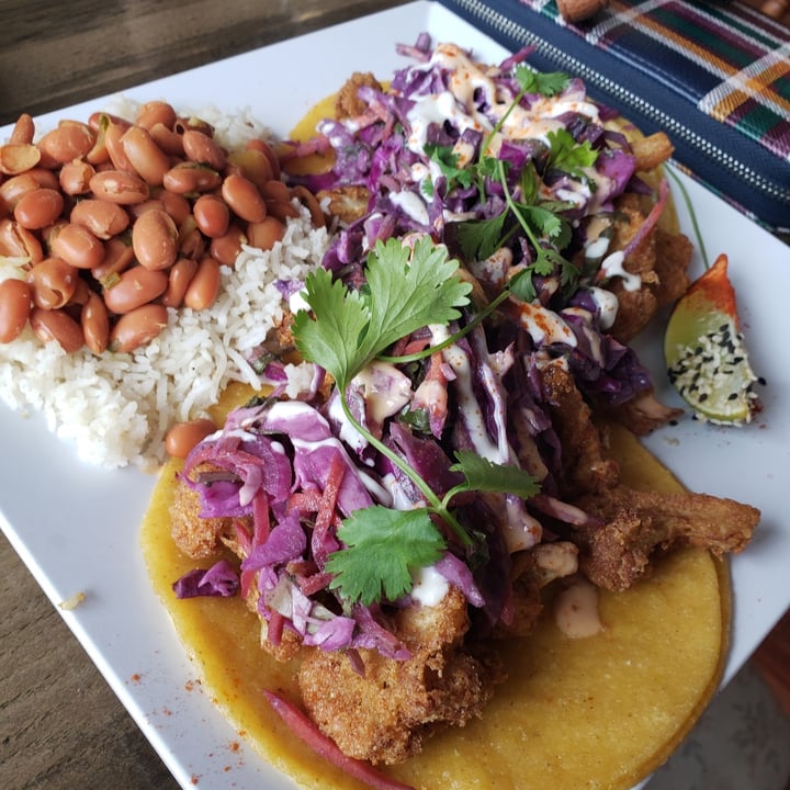 review photo of Arles & Boggs Vegan Eatery Cauliflower Tacos shared by @amandalanphear on 13 Sep 2022 - review
