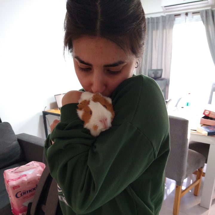 review photo shared by @camibrandan on 11 Aug 2022 - post