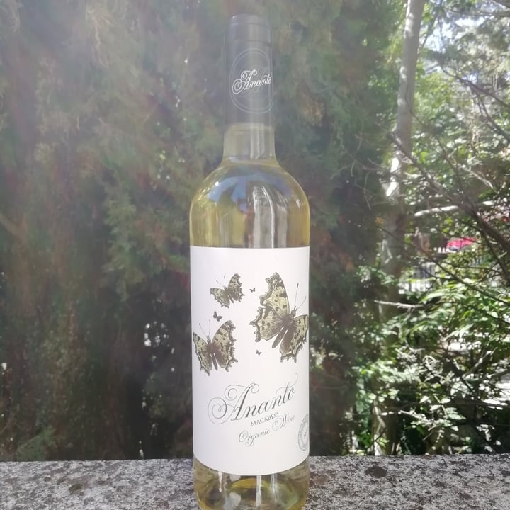 photo of Ananto Ananto vino blanco shared by @ecoilogic on  27 Sep 2022 - review