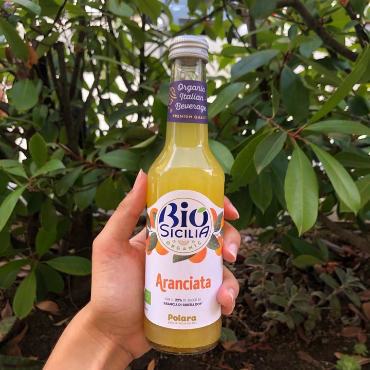 review photo of Polara limonata shared by @al25 on 06 Dec 2022 - review