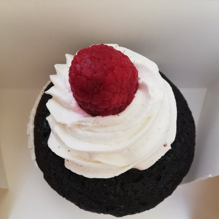 Zucchero a Velò Ancona, Italy Cupcake Cioccolato E Lamponi Review