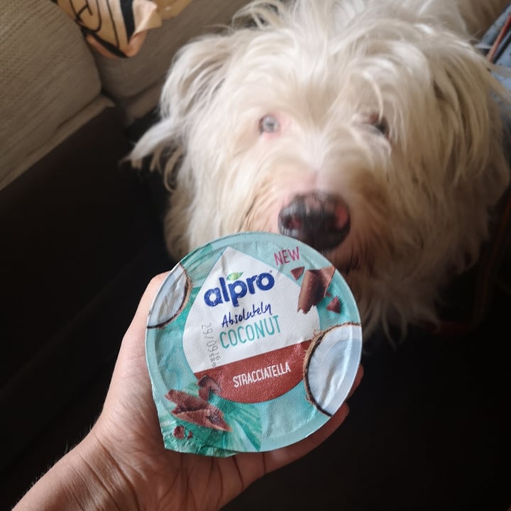 photo of Alpro yogurt di cocco gusto stracciatella shared by @rachele82 on  30 Sep 2022 - review